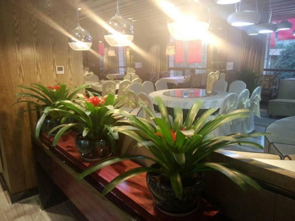 Chengdu Hello Hotel CTU Exteriér fotografie